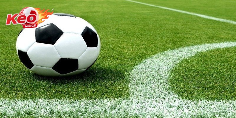  Người hâm mộ bàn luận về tin bóng đá mới nhất tại quán cà phê